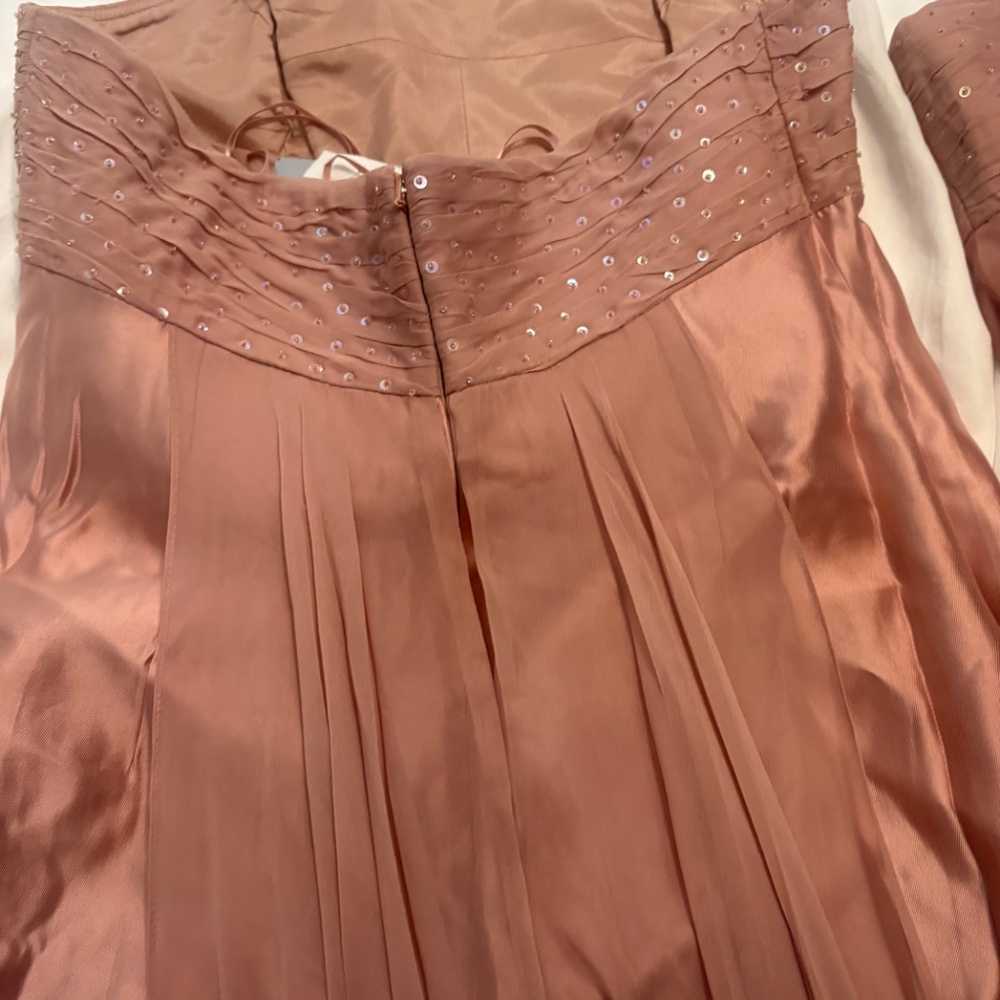 TERI JON STRAPLESS Dusty pink GOWN VOILE SHEER TRAIN SHANTUNG 2 4 8 10 - Picture 5 of 5